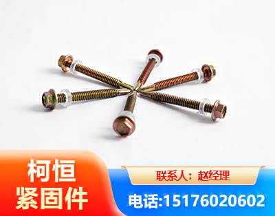 林芝六角钻尾丝