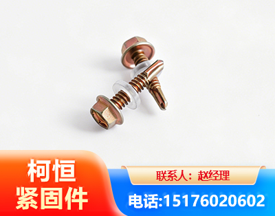 林芝六角钻尾丝
